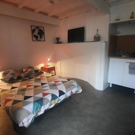 Апартаменты Promo24-31Mai 4Personnes Toulouse 15Mn 4 Lits Cuisine Sde Wc Montastruc-la-Conseillere Экстерьер фото