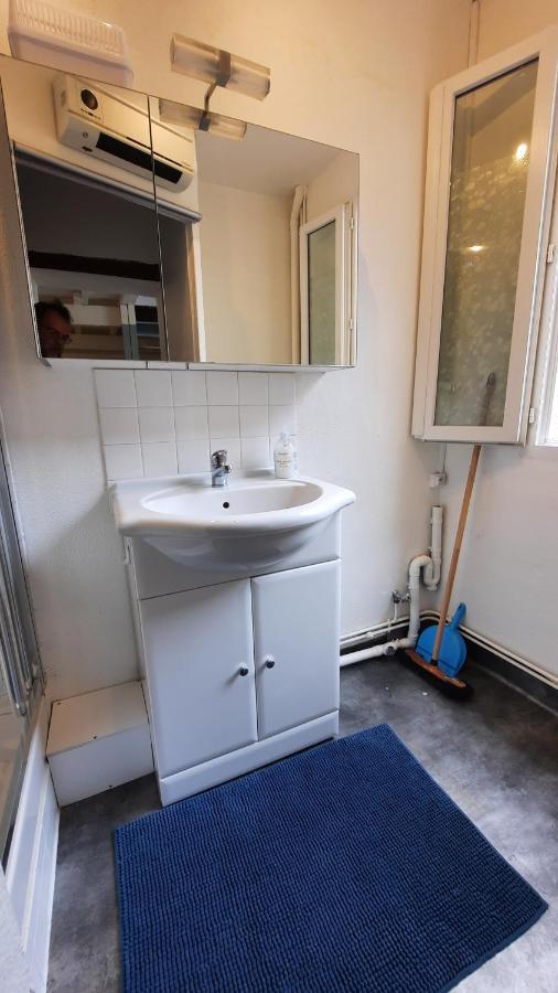 Апартаменты Promo24-31Mai 4Personnes Toulouse 15Mn 4 Lits Cuisine Sde Wc Montastruc-la-Conseillere Экстерьер фото